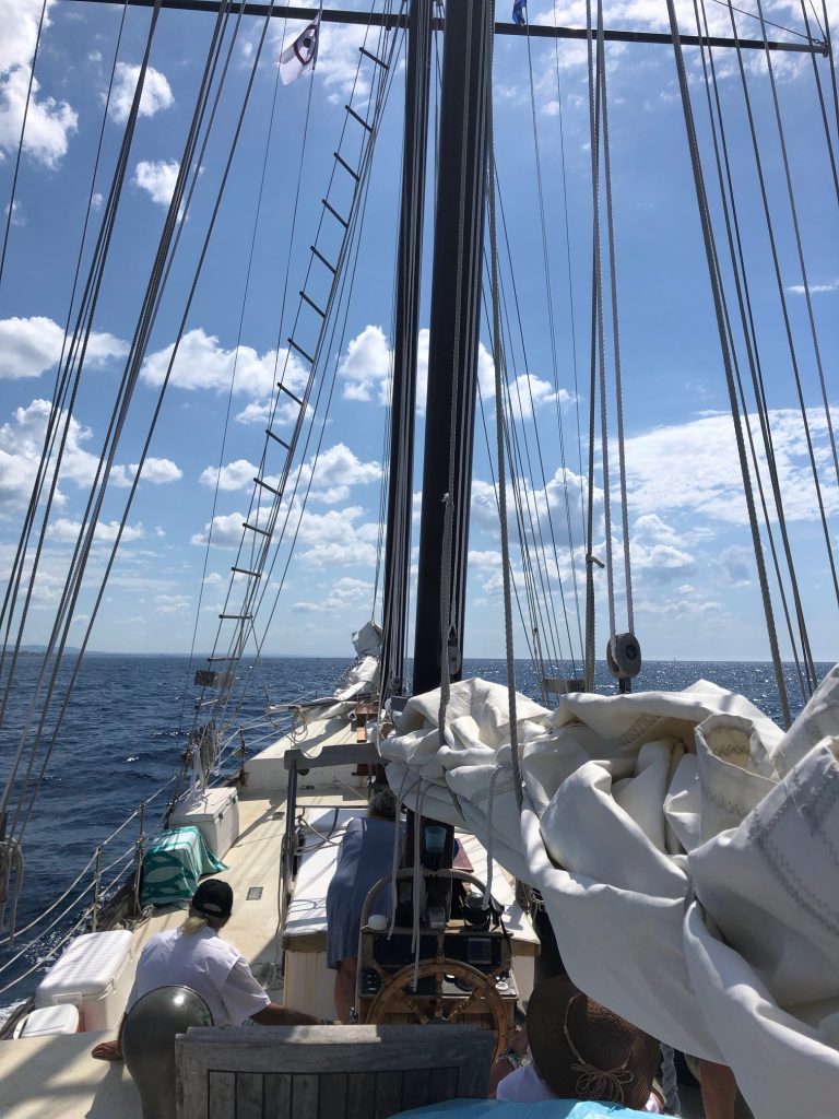 This image has an empty alt attribute; its file name is WOLF-2018-CUBA-Voyage-Fin-at-Helm-View-from-Stern-2-768x1024.jpg